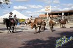 Stockyards063.jpg